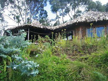 Mount Kilimanjaro View Lodge Moshi Esterno foto