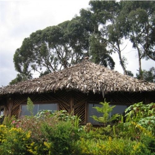 Mount Kilimanjaro View Lodge Moshi Esterno foto