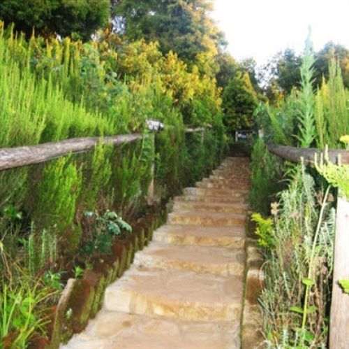 Mount Kilimanjaro View Lodge Moshi Esterno foto